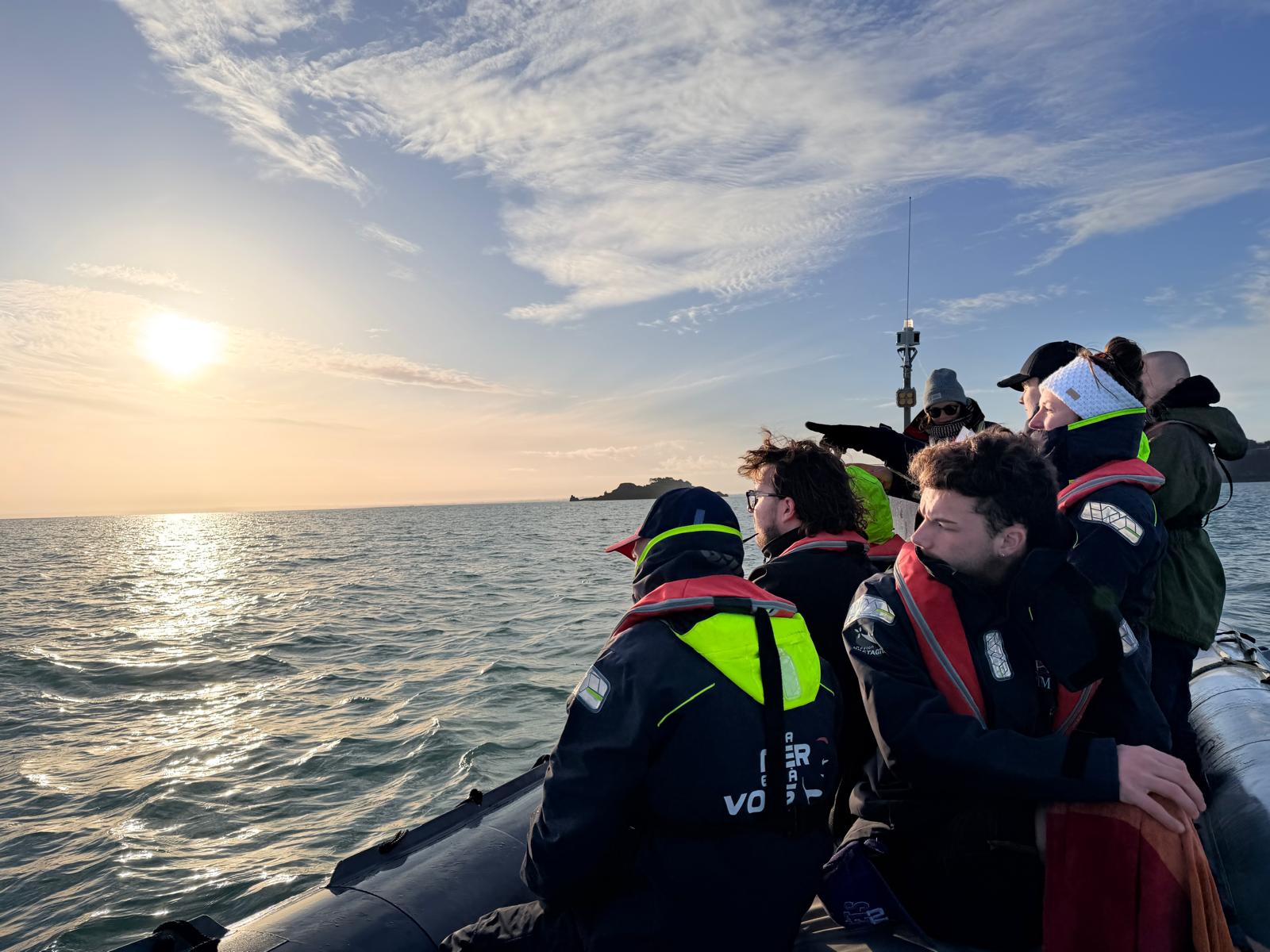 WhatsApp Image 2026-01-16 at 17.24.26