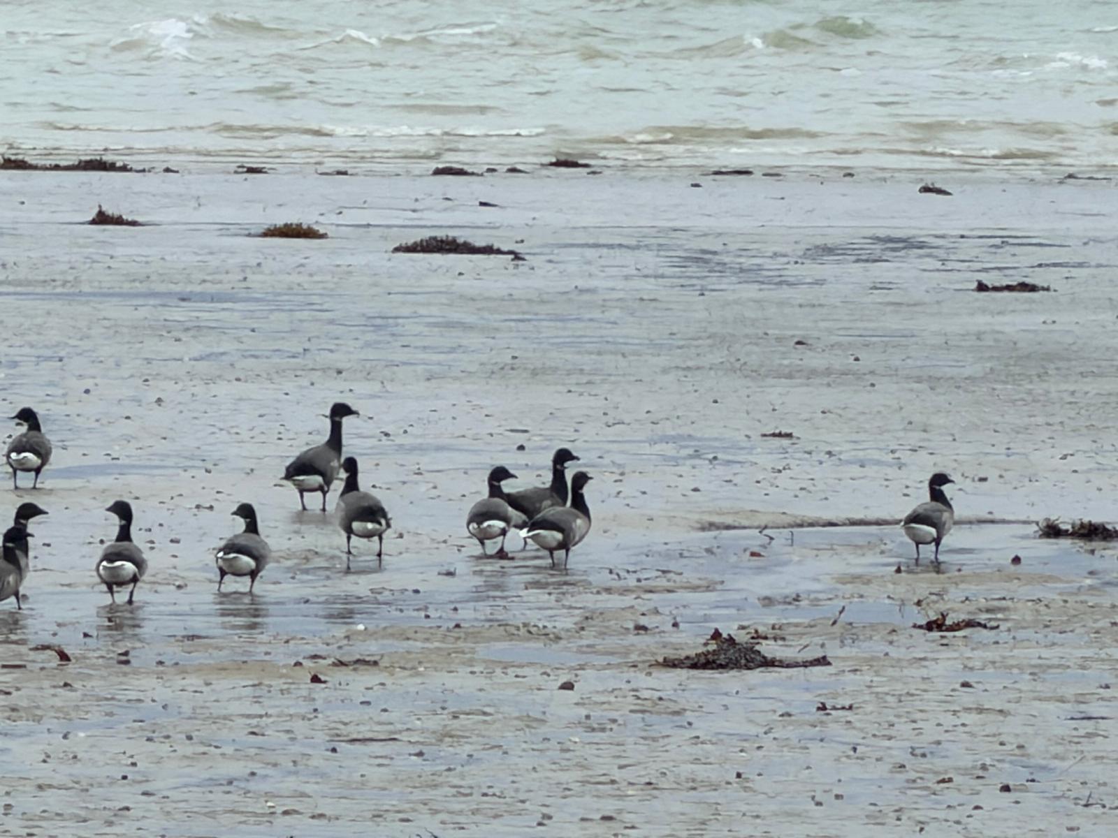 WhatsApp Image 2026-01-26 at 16.04.21